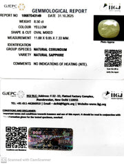 8.50/CT Natural Yellow Sapphire With Govt Lab Certificate (4551)